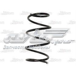 75876 Asam Sprężyna przednia