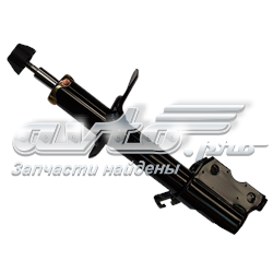 RS314037 Raiso Amortyzator przedni prawy