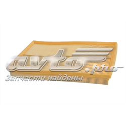 70310 Asam Filtr powietrza