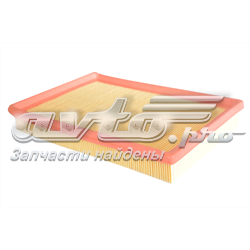 70335 Asam Filtr powietrza