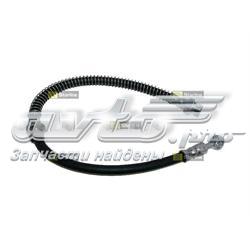 HAEG1227 Starline