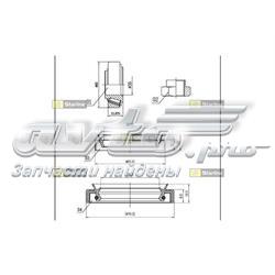 LO00687 Starline