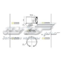 LO01306 Starline