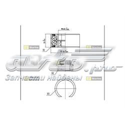 LO01438 Starline