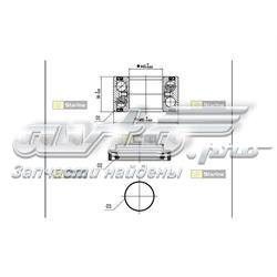 LO01466 Starline