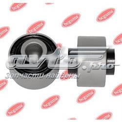 BC1213 Bcguma
