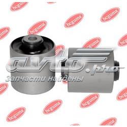 BC1703 Bcguma