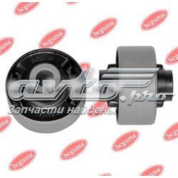 BC3402 Bcguma