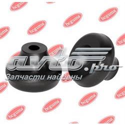 BC0105 Bcguma
