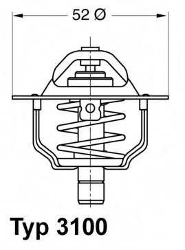 6994257 Ford termostat