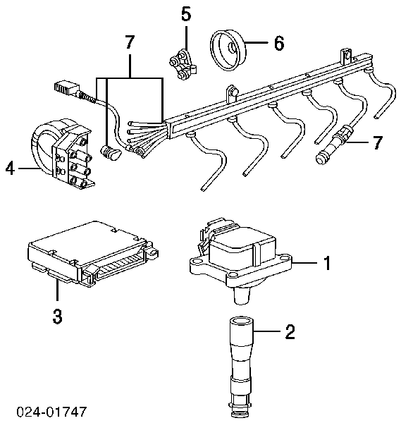 EVL0401 Beru