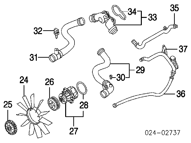 Przewód (króciec) chłodnicy dolny do BMW 3 (E46)