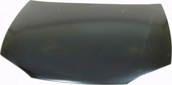 MR208868 Mitsubishi Maska silnika