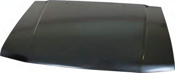 Maska silnika Mitsubishi Pajero II Canvas Top SUV (V2W, V4W) (1990 - 2004) cena, od 240,39 USD