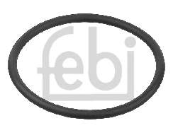 Uszczelka termostatu MAN TGA