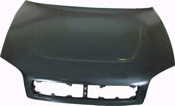 Maska silnika Toyota RAV4 I SUV (XA) (1994 - 2000) cena, od 1365,34 USD