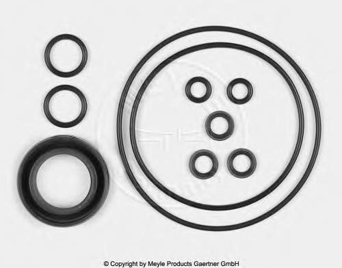 Zestaw naprawczy pompy wspomagania hydraulicznego do Mercedes Bus 207-310 (601)