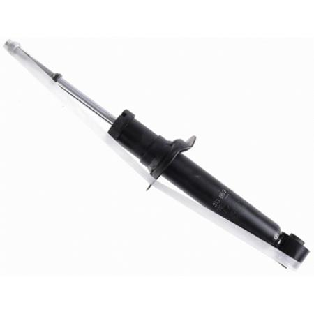 RS317134 Raiso Amortyzator tylny