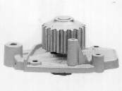 M144 Dolz