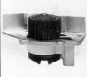 N405 Dolz