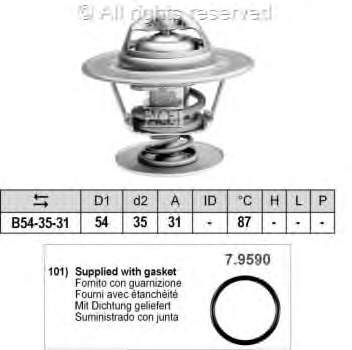 Termostat Volkswagen Passat (B6, 3C2)