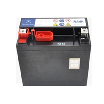 Bateria (akumulator) 244103090R Renault (RVI)