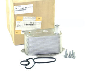 11427788462 BMW Chłodnica oleju, pod filtrem