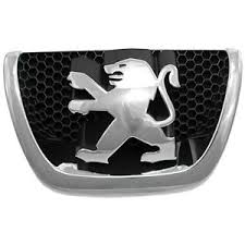 9800313880 Peugeot/Citroen Emblemat na zderzak przedni