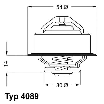 Termostat 21691K Motorad