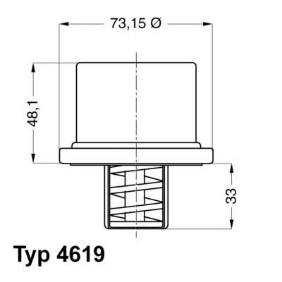 A0022032275 Mercedes termostat