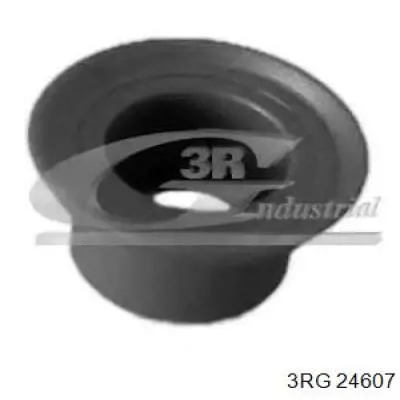 Tuleja mechanizmu zmiany biegów 3RG 24607 cena, od 1,50 USD