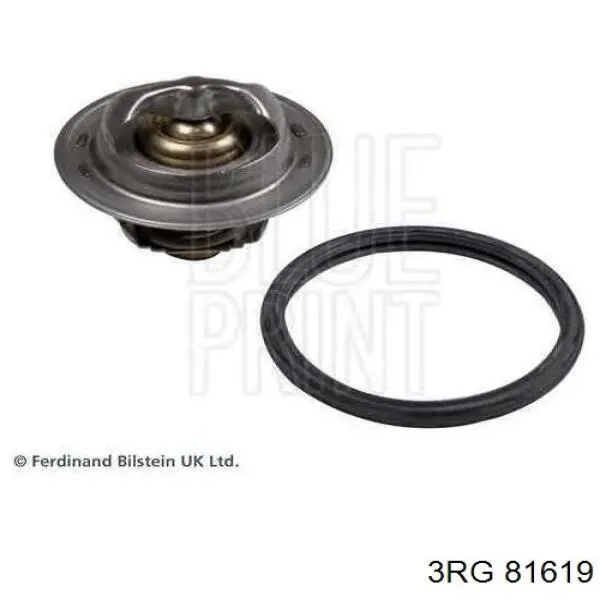 Do koszyka 81619 3RG Termostat