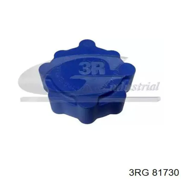 81730 3RG Pokrywa (korek) zbiornika wyrównawczego
