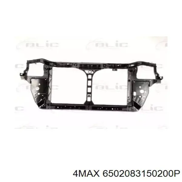 Do koszyka 641011E100 Hyundai/Kia Osłona chłodnicy kompletna (panel mocowania reflektorów)