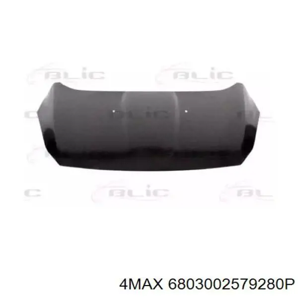 2064860 Ford Maska silnika