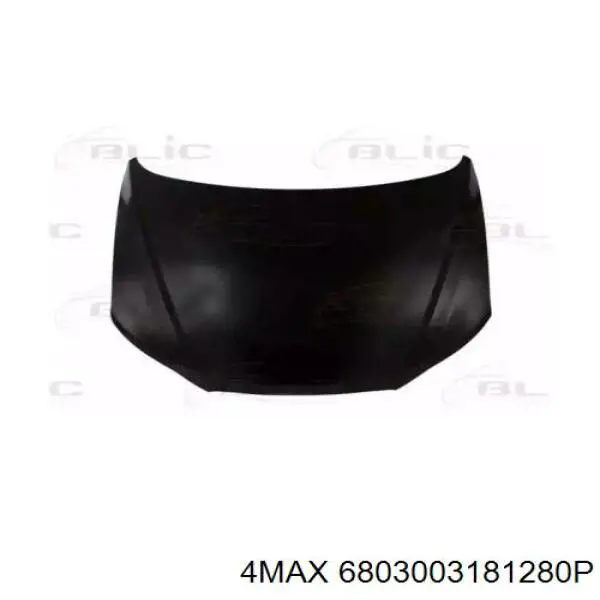 Do koszyka 664002B000 Hyundai/Kia Maska silnika