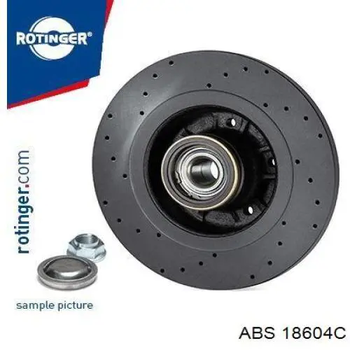 Tarcza hamulcowa tylna Renault (RVI) 432029176R cena, od 114,25 USD