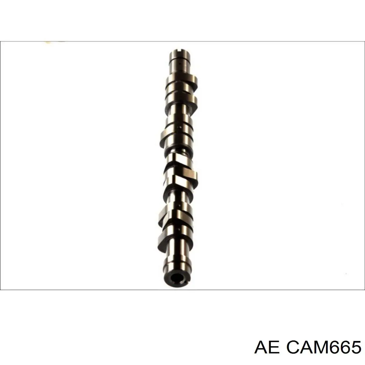 Wał rozrządu silnika Renault Laguna I hatchback (B56, 556) (1993 - 2002) cena, od 141,77 USD