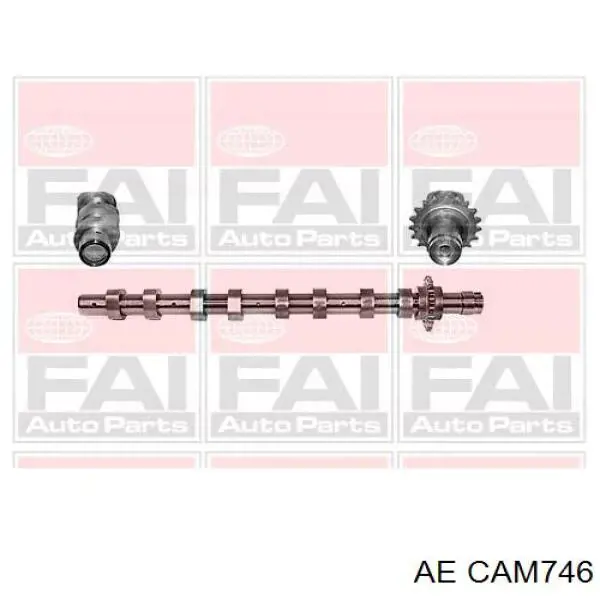 CAM746 AE wał rozrządu silnika ssący, dolotowy