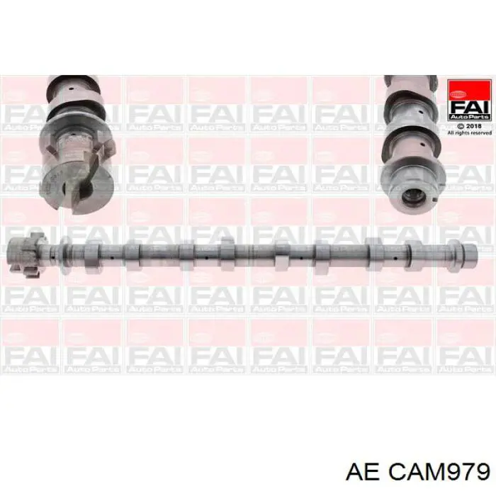 CAM979 AE wał rozrządu silnika ssący, dolotowy
