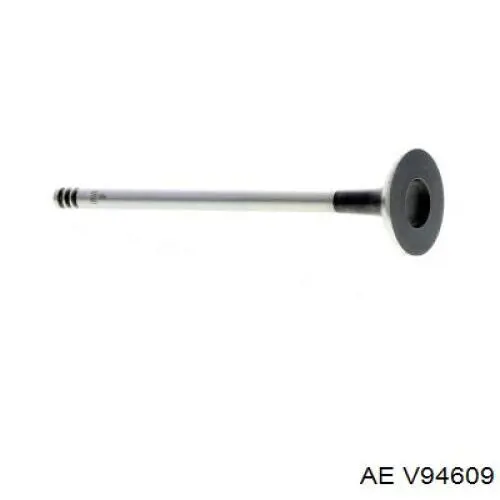 Zawór wydechowy V94609 AE