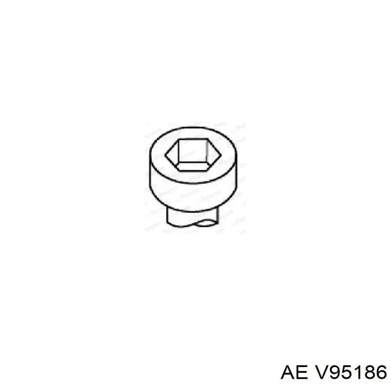 V95186 AE zawór dolotowy/ssący