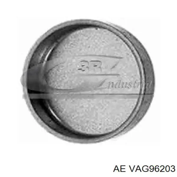 VAG96203 AE Prowadnica zaworu
