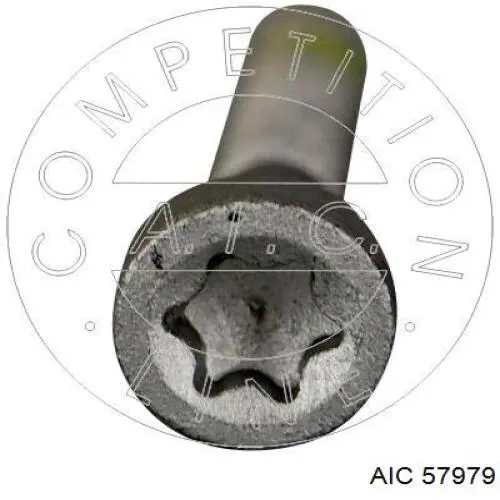 Śruba mocowania wtryskiwacza AIC 57979 cena, od 4,01 USD