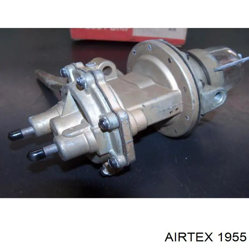 Do koszyka 1955 Airtex Pompa chłodząca wodna