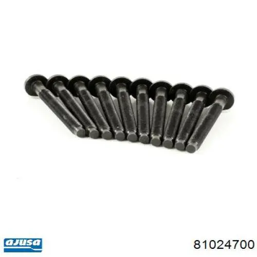Śruba głowicy cylindrów Ajusa 81024700 cena, od 30,70 USD