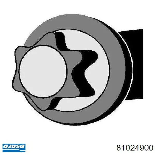 Do koszyka 81024900 Ajusa Śruba głowicy cylindrów