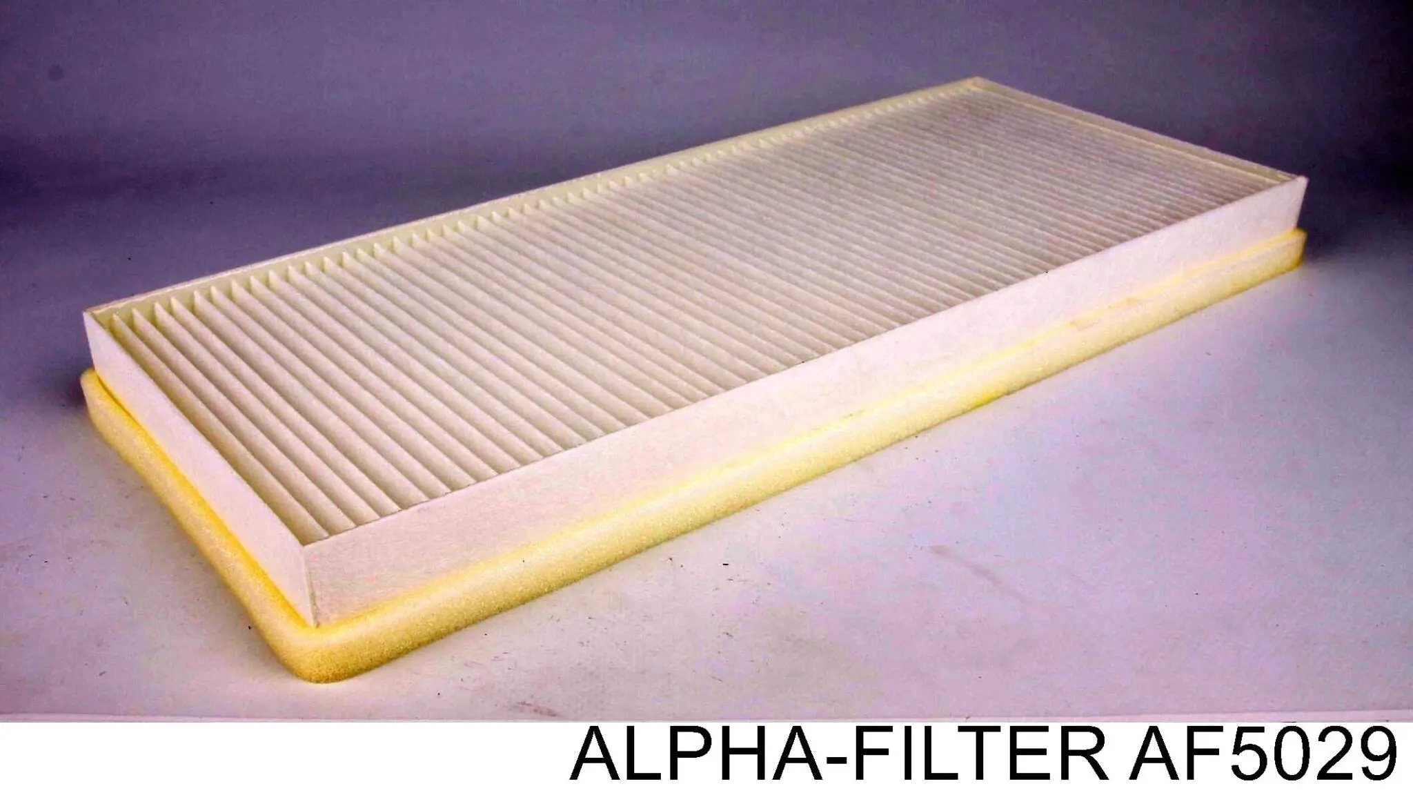 Do koszyka AF5029 Alpha Filter Filtr kabiny