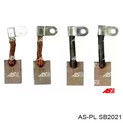 SB2021 As-pl szczotka rozrusznika