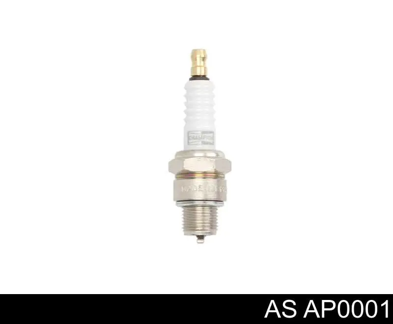 AP0001 AS/Auto Storm Koło pasowe alternatora